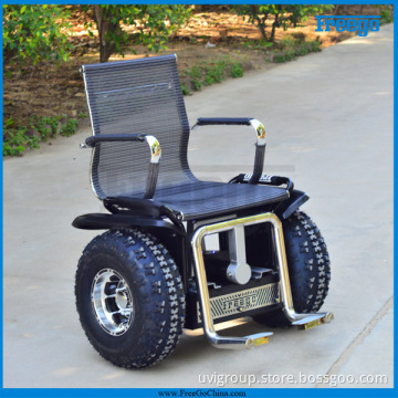 EEC Balance Electric Scooter Segway Wheelchair with Feet Sensor (F2S)